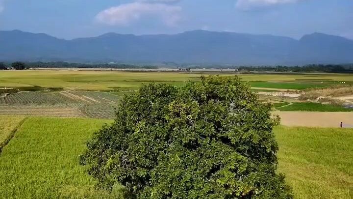 Beautiful season dynamics of Bangladesh