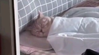 "Siswa yang sangat miskin"