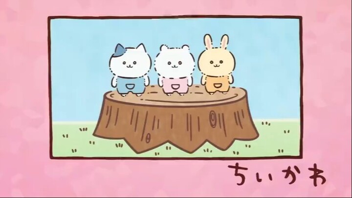 chiikawa21-30集【小可爱_吉伊卡哇_ちいかわ】