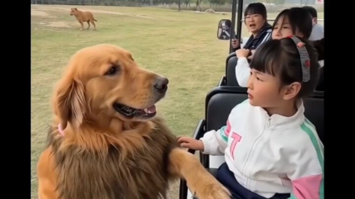Cute Dog And Little Girl ❤️