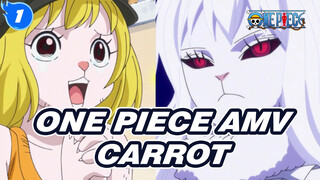 [One Piece AMV] I'm Attracted By Carrot Who's Cute And Good At Fighting!_1