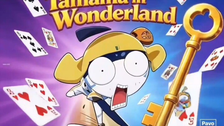 TAMAMA Wonderland 🔰 HD video speciale
