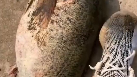 I don’t even know if these shoes are still wearable!