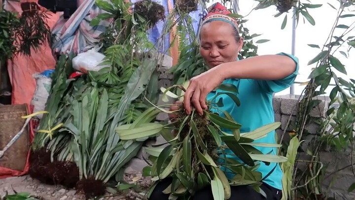 Ăn Món Gà Nướng Bản Lác Ngắm Gái Bản Nhảy Múa _ Đêm Trong Bản Vui Như Thế Nào