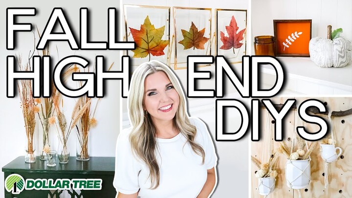 10 Dollar Tree Fall DIYs that are BETTER than Retail...Shocking Results!