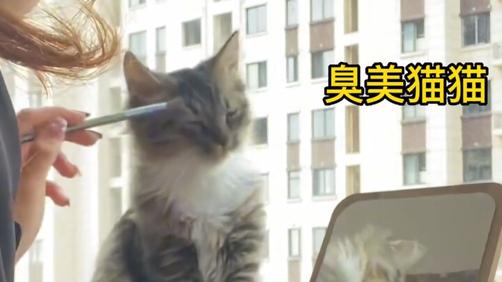 “Aku curiga kucing di rumahku dulunya manusia!”