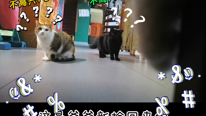 We’re all E-Cats, just chatting away—let’s keep the convo going tomorrow!