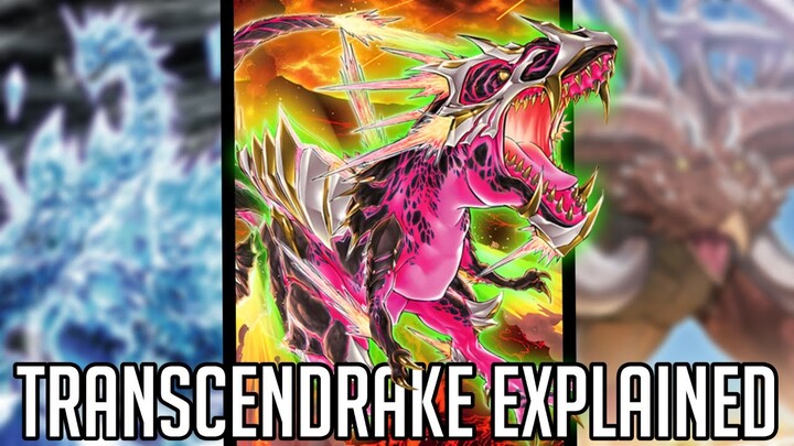 REX RAPTOR IS BACK, BABY!!! feat. @HasherBrown  [Yu-Gi-Oh! Archetypes Explained: Transcendrake]