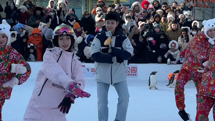 Actor Zhang Rui checks in at the Polar Park penguin parade and spontaneously performs the "Subject T