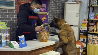 Minta tolong belikan sarapan saja, masih juga minta syarat