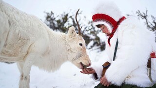 Stolen full movie [indo sub]