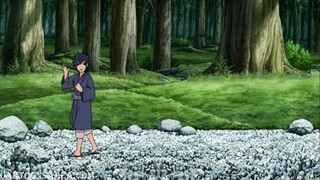 Naruto Shippuden
