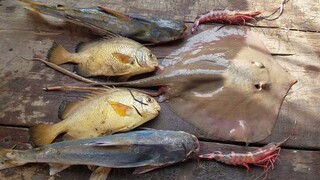 CÁ ĐUỐI KHO ME • Nấu Ăn Bữa Cơm Trên Ghe | Ngư Dân Miền Tây