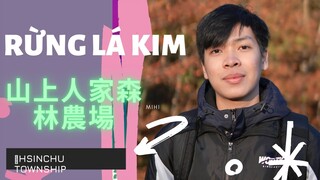 #3 THAM QUAN RỪNG LÁ KIM 山上人家森林農場 HSINCHU TOWNSHIP (TAIWAN)  / MiHi