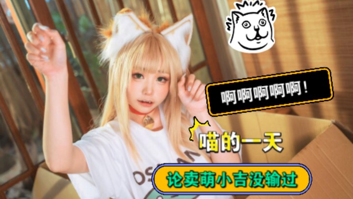 Hari Seru Si Kucing Miao Xiaoji! Kucing-kucing di sebelah sampai melongo lihatnya?