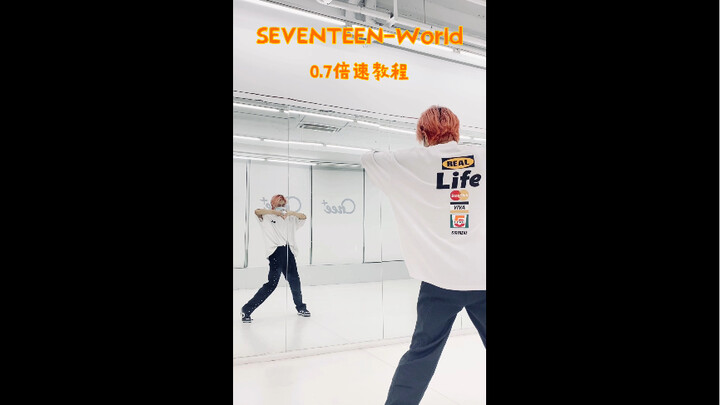 SEVENTEEN-World 0.7倍速镜面教程