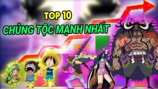 Tộc D Mạnh Thế Nào ? Xếp Hạng 10 Chủng Tộc Mạnh Nhất One Piece