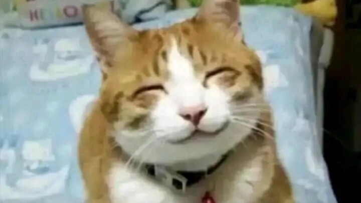 “No girl loves me” — Mom’s reaction: #33