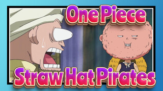 [One Piece] Hilarious Moments of Straw Hat Pirates~ Have Fun!