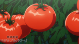 小时候很爱吃西红柿，现在也很喜欢...