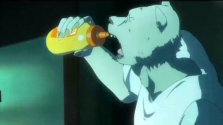 Every bear taller than 2 meters must take muscular dystrophy.