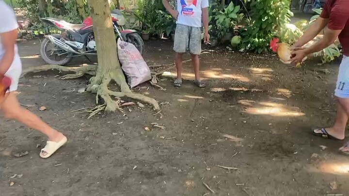 stag white choco vs bullstag 1x