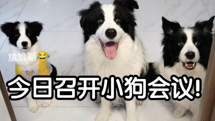 Rapat dimulai! Ada urusan penting! Semua cepat duduk rapi!