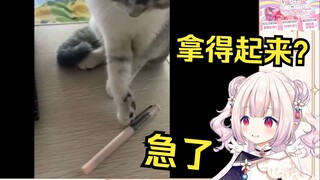 日本萝莉看《猫咪因拿不起一支笔而气急败坏》当场难绷