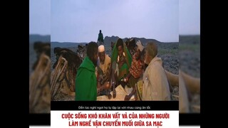 cuộc sống khó khăn của những người làm nghề vận chuyển muối giữa xa mạc | review phim