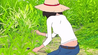 Setiap orang yang menyukai Hayao Miyazaki pasti memiliki sebidang tanah suci jauh di dalam hatinya #