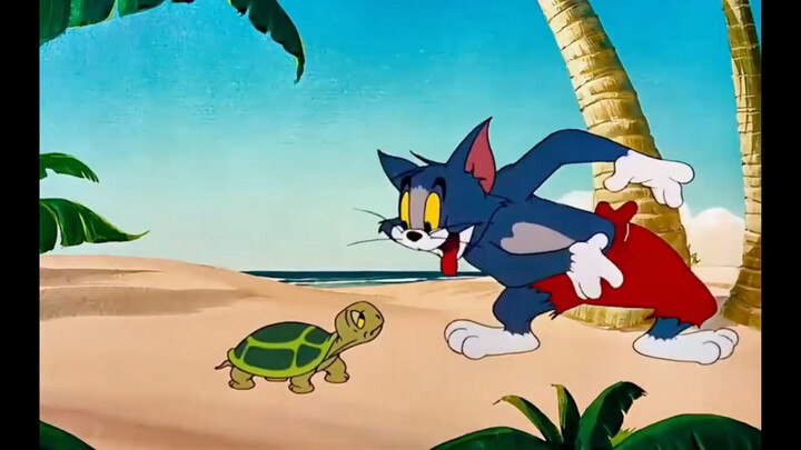 Tom sees a turtle for the first time.