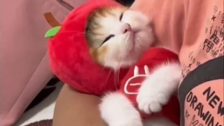 “Mention the cutest person in the world to take a look!”