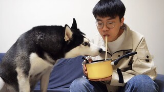 [Animals]Even pets are trying to escape from stinky food