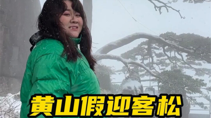 Mendaki gunung selama 4 jam, ternyata tertipu untuk berfoto bersama pohon palsu!