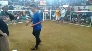 2hits ulotan 1st figth win Alaminos Square