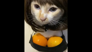 สงสารเราเถอะนุด