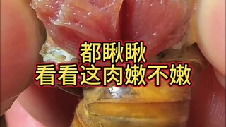The cicada nymph meat tastes so much like pork!