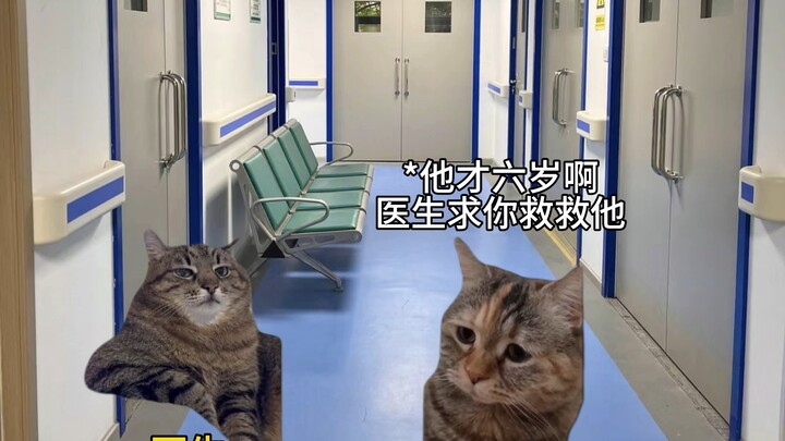 我不怕成为第31个，但我怕我会是没来的第30个