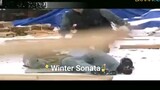 Winter Sonata Episode 7 Engsub