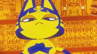 【猫片】埃及猫原版视频