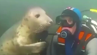 给我点氧气@%……@……￥#@#￥