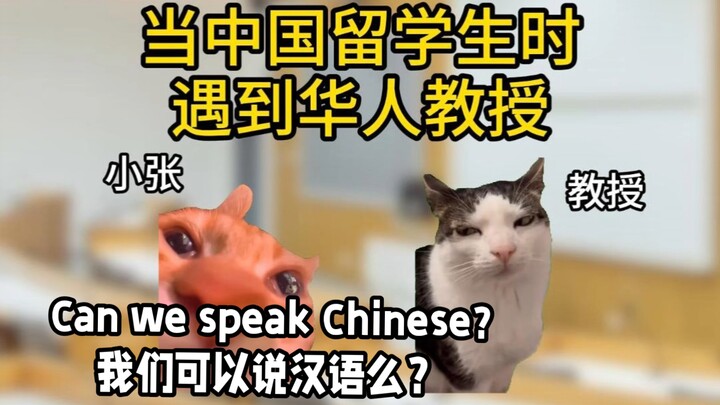 Khi du học sinh gặp giáo sư người Hoa