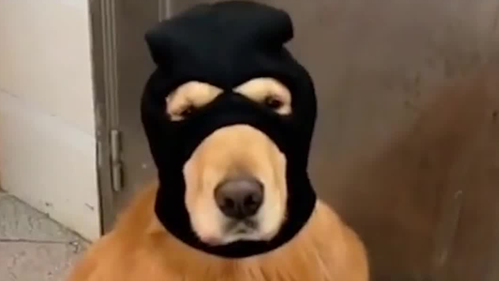 We’re safe, for now.