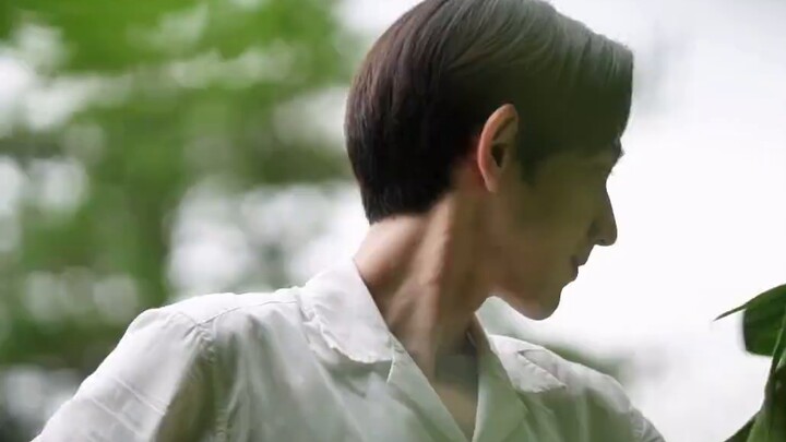 "Menyembuhkan pekerja kantoran adalah kehidupan pengasingan yang hanya Anda impikan"丨 Lens Aesthetic