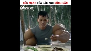 Sức Mạnh Của Các Anh Nong Dân