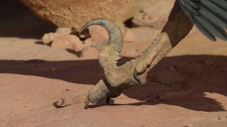 Prehistoric Planet S1E01.1080p