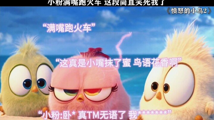 未成年看这个有点幼稚，成年人看这个刚好，小粉这段简直笑发财了