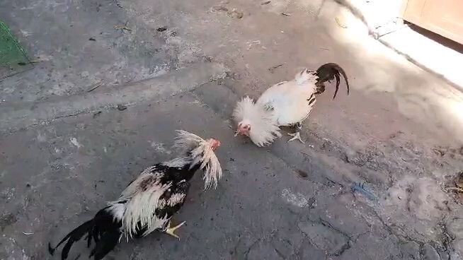 practice muna pra di mnigas mga paa