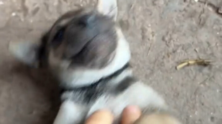 Khó khăn lắm mới quay lại, nhất định phải rửa đủ.