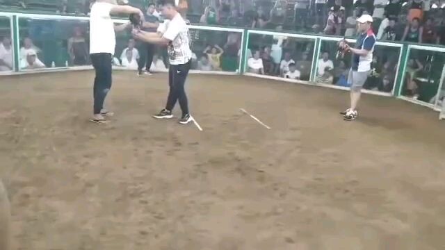 pachampion .2nd fight unscratched.